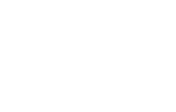 E-LAND CRUISE logo